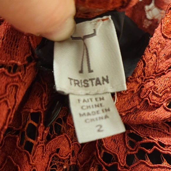 Size 2 Lace Dress - Picture 3 of 3